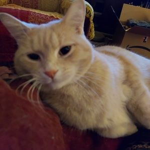 Meet your Posher, Claudine